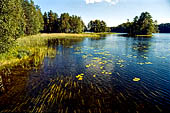 Punkaharju, Savonlinna. La zona nei pressi di Lusto, il museo della foresta finlandese. 